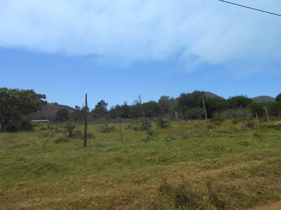 0 Bedroom Property for Sale in Kruisfontein Eastern Cape